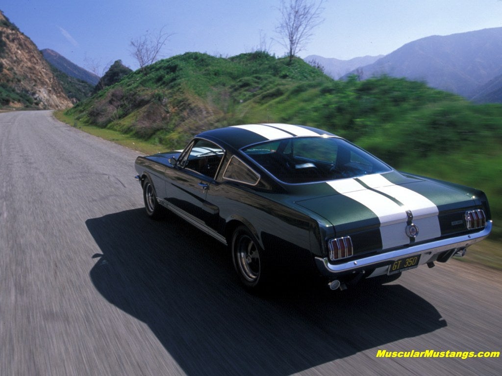 Shelby GT350 Mustang Wallpaper 1024x768