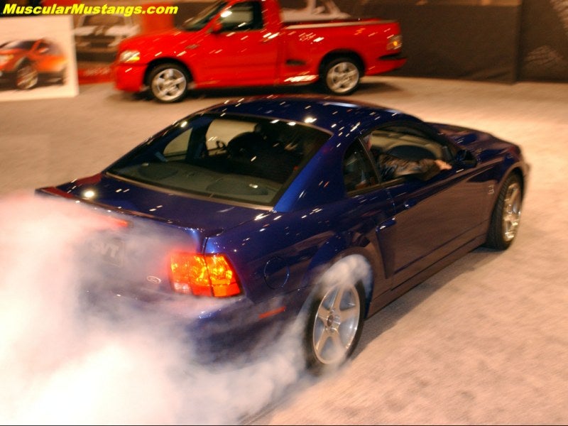 2003 SVT Cobra Burnout Wallpaper 800x600