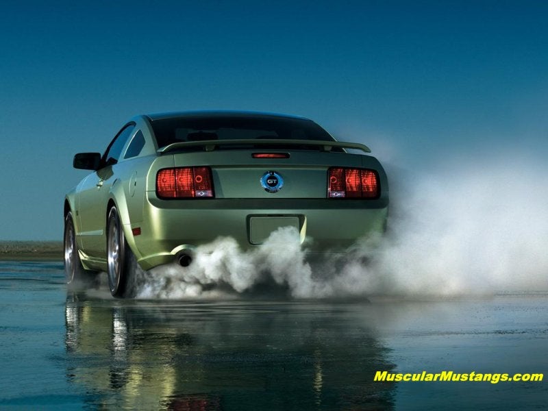 2005 Mustang Burnout Wallpaper 800x600 Image Courtesy of Ford Motor Company