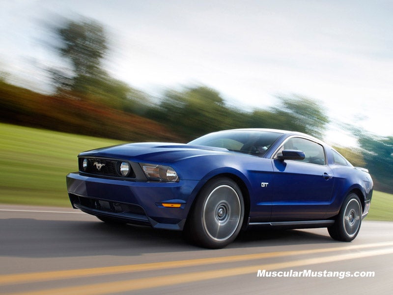 Blue 2010 Mustang Wallpaper 800x600
