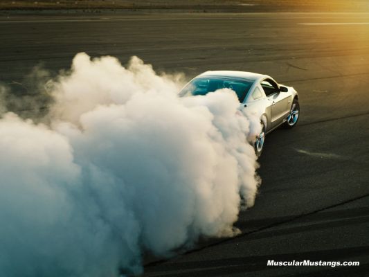 2010 Ford Mustang Smokey Burnout