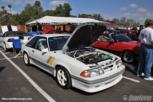 This picture features a 1989 Saleen SSC Mustang Saleen unveiled this car on