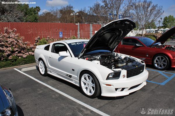 White Saleen Mustang These photos are from the 2011 Fabulous Fords Forever 