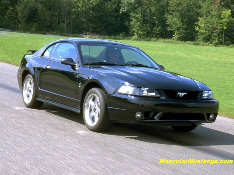SVT Cobra Wallpaper 800x600