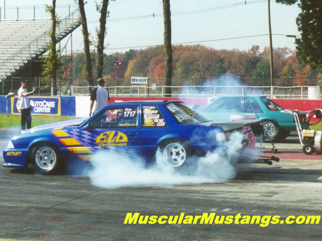 Pro 5.0 Mustang Wallpaper 1024x768