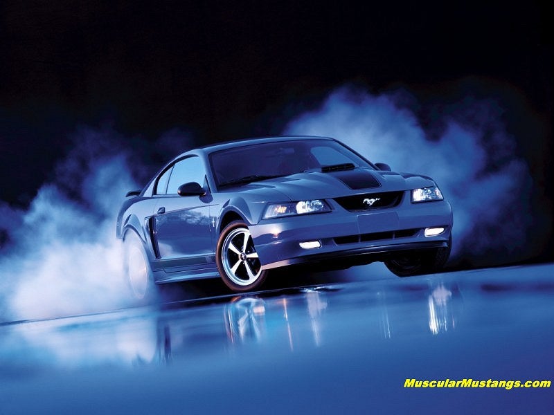 Mach 1 Mustang Wallpaper 800x600