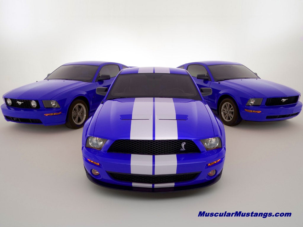 Shelby Cobra GT500 Wallpaper 1024x768