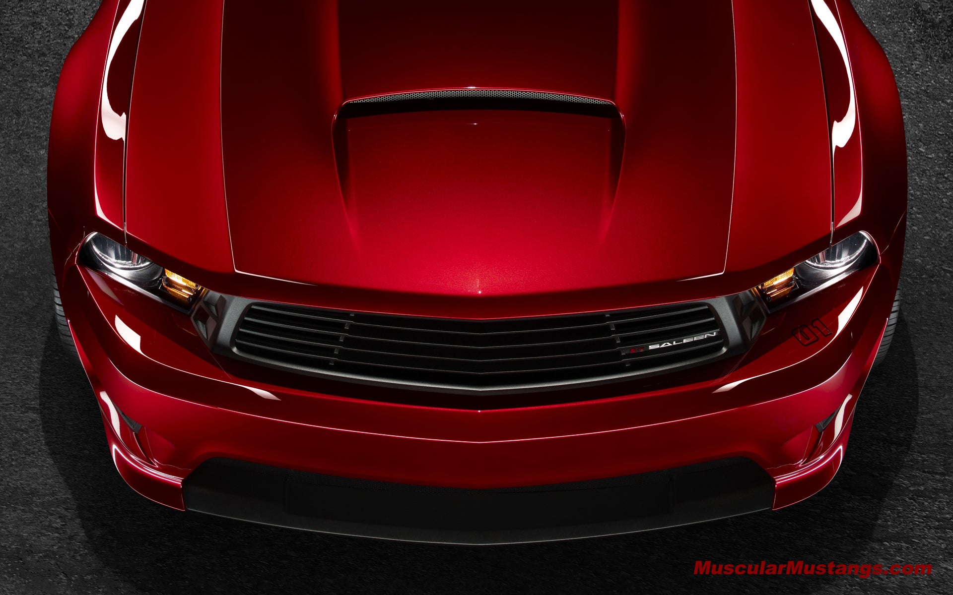 2010 Saleen S281 Mustang Wallpaper 1920x1200