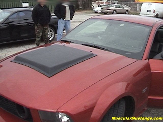 2007 Svt Mustang Cobra 2007 Cobra Svt