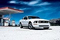 Random Ford Mustang Picture