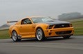 Random Ford Mustang Picture