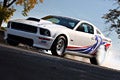 Random Ford Mustang Picture